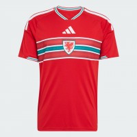 Wales World Cup 2026 Adult Home Soccer Jersey