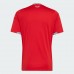 Wales World Cup 2026 Adult Home Soccer Jersey