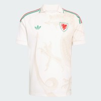 Wales World Cup 2026 Adult Away Soccer Jersey